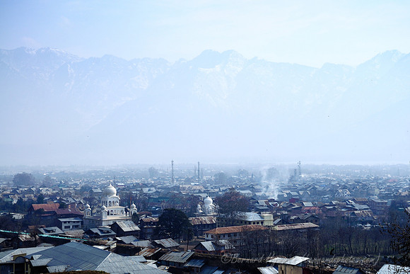 D300_70455