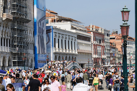 D300_44579.jpg