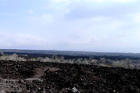 South Point