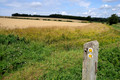 D300_99812