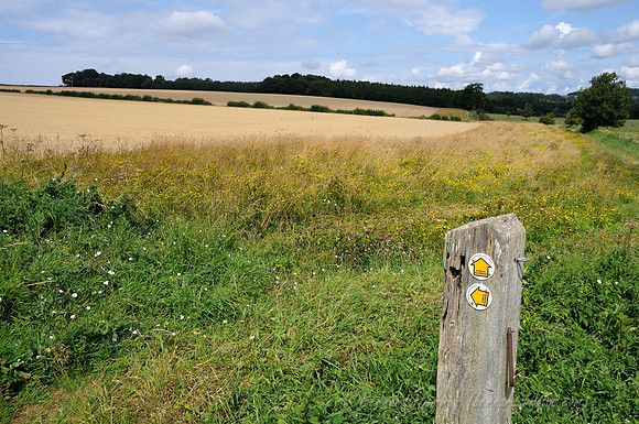 D300_99812