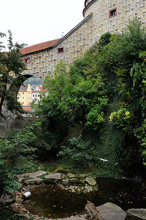 D300_73979