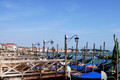 D300_44569.jpg
