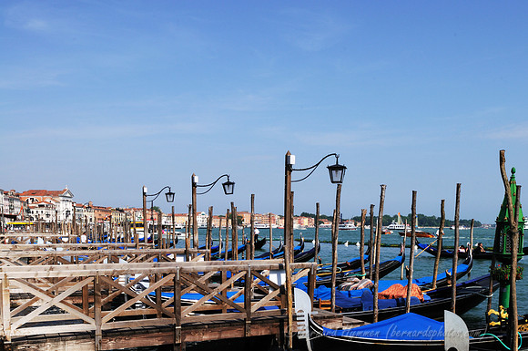 D300_44569.jpg