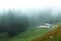 D70_18384