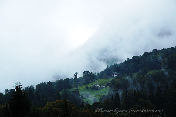 D70_18347