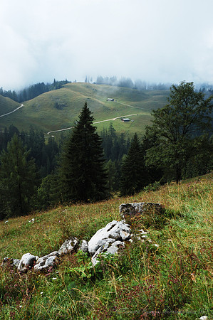 D70_18403