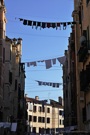D300_45766.jpg
