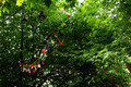 D300_98970