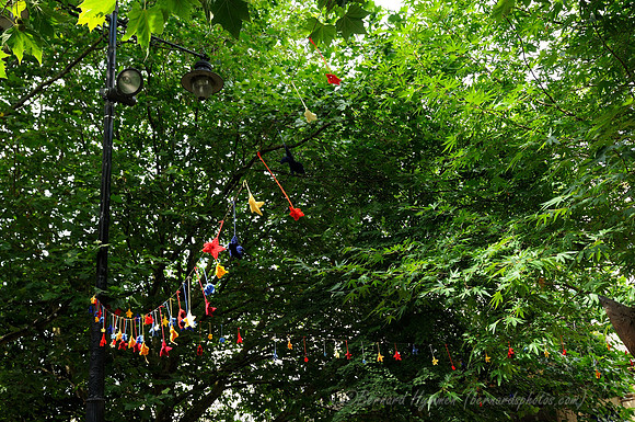 D300_98970