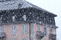 D300_84541