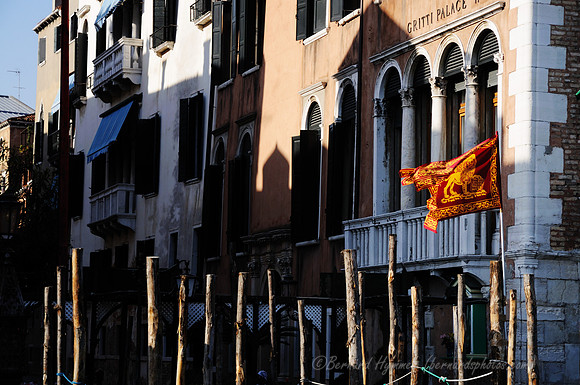 D300_45684.jpg