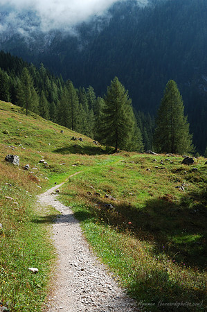 D70_18464