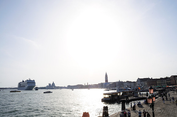 D300_44941.jpg