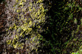 D300_95988