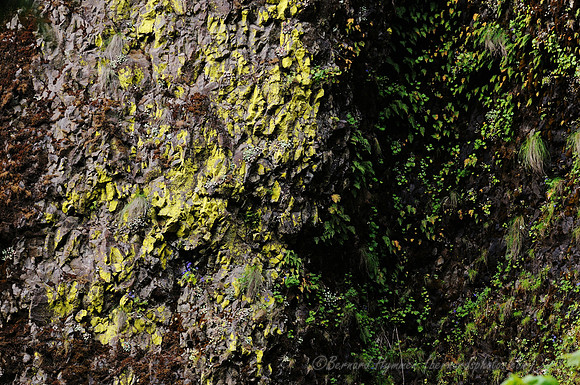 D300_95988