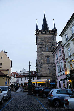 D300_74225