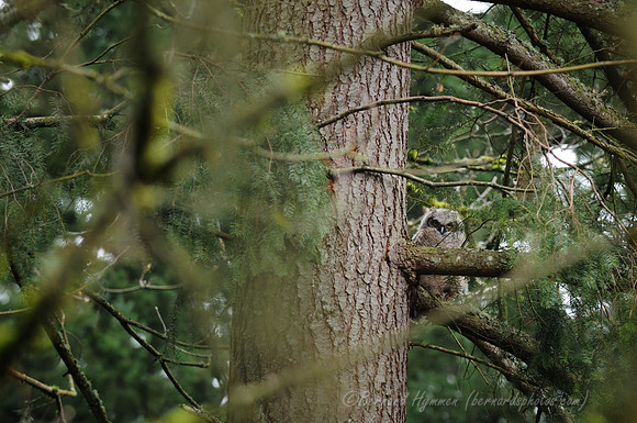 D300_62430