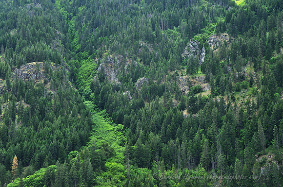D300_72147