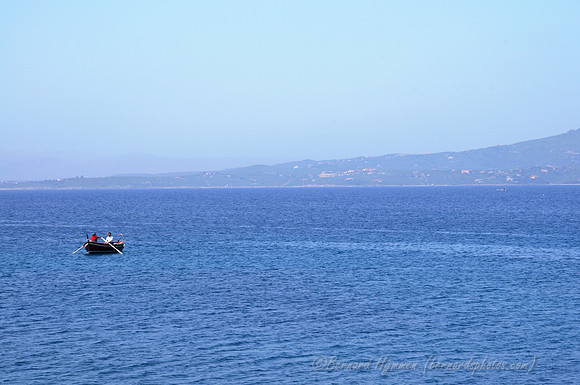 D300_46654.jpg