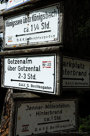D70_18416