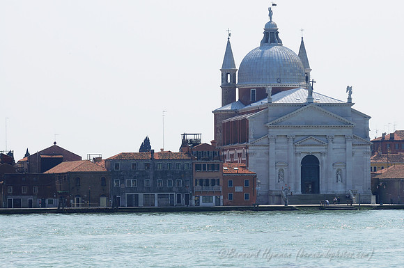D300_45155.jpg