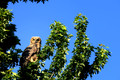 D300_55381