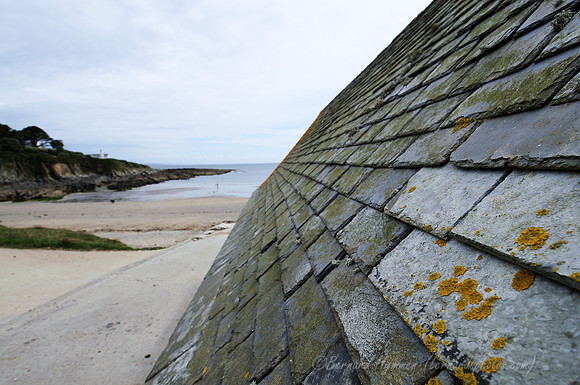 D300_100673
