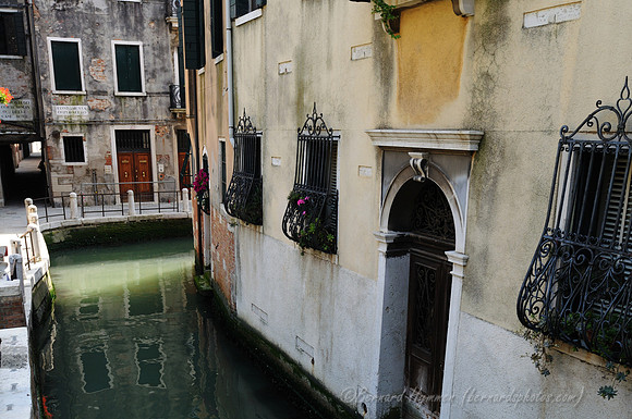 D300_45203.jpg