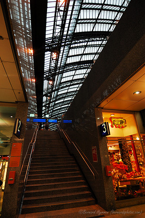 D70_17493