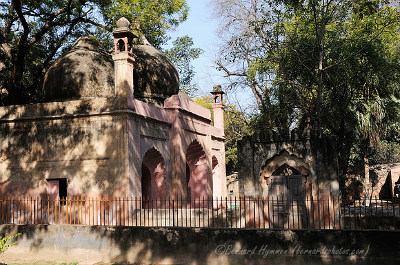 D300_68635