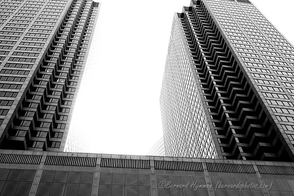 D300_64362