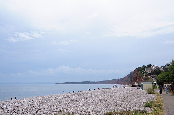 D300_100325