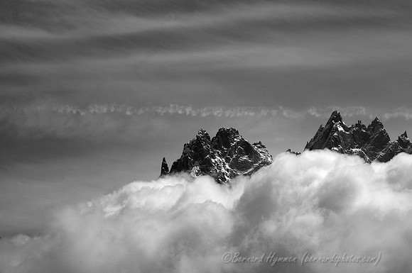 D300_84281