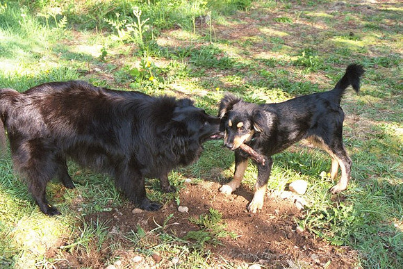 9QUV_020.JPG