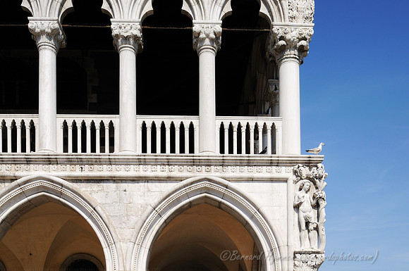 D300_44559.jpg
