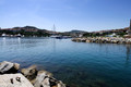 D300_45856.jpg
