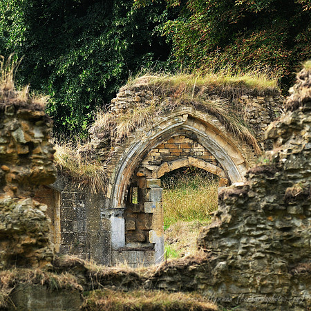 D300_99160