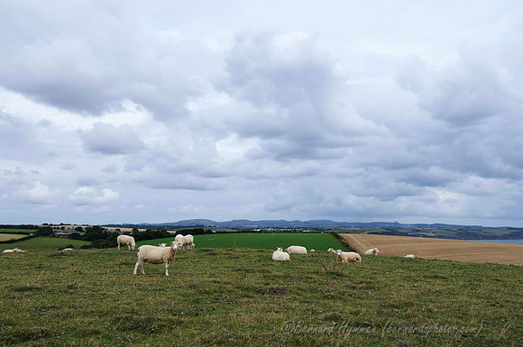 D300_100661