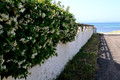 D300_46643.jpg
