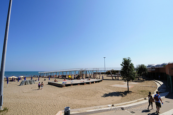 D300_45599.jpg