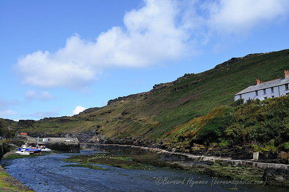 D300_100768