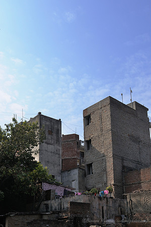 D300_68572