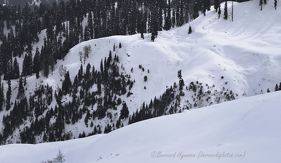 D300_69357