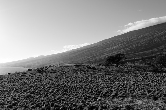 D300_58566