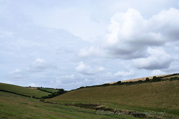 D300_100628