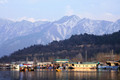 D300_70568