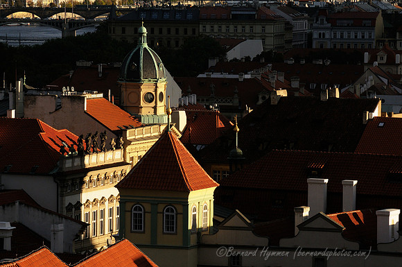 D300_74626