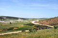 D300_46216.jpg