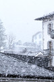 D300_84559